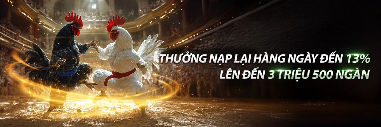 Hình ảnh chính SV666 Code